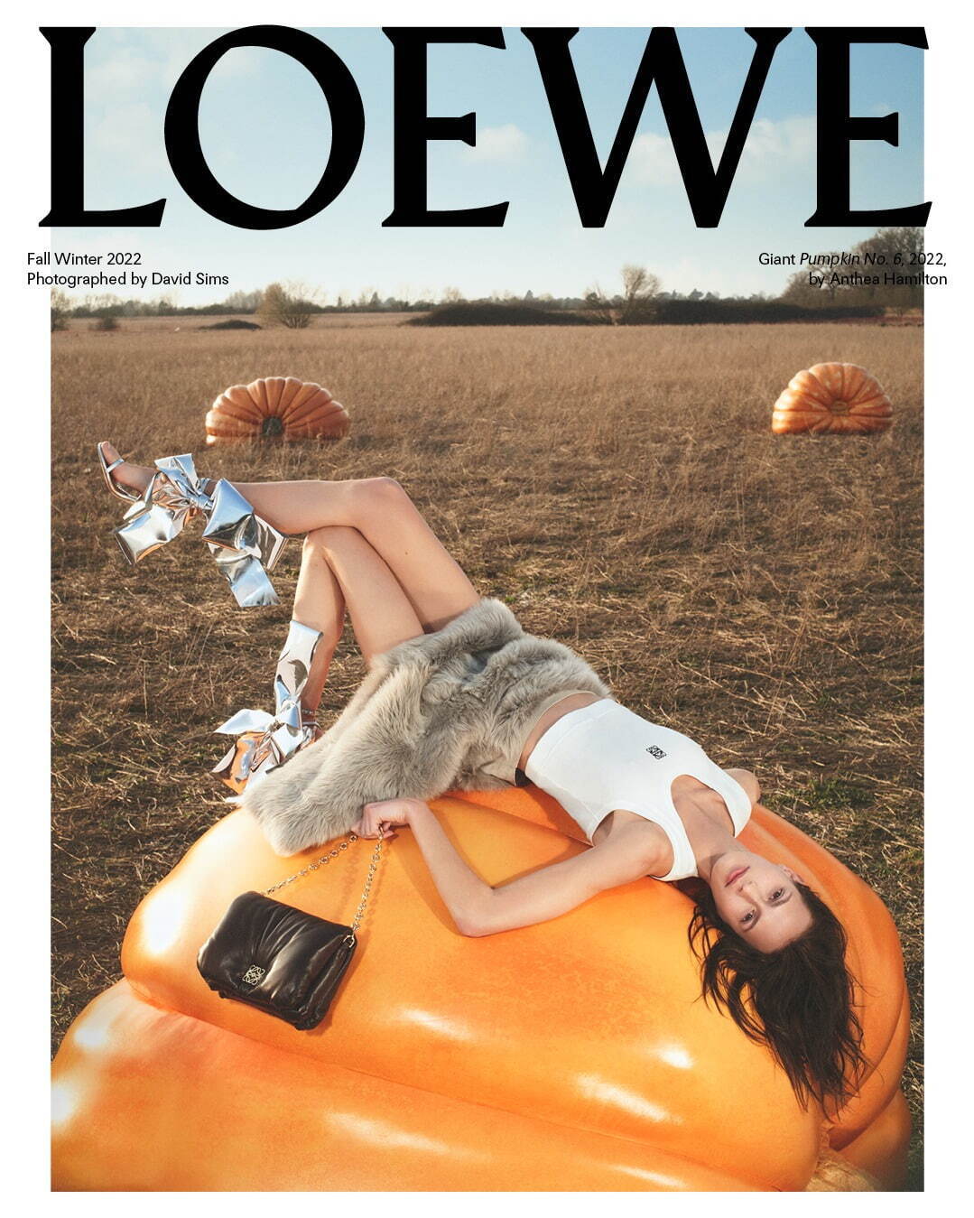 ロエベ(LOEWE) パズル ゴヤ｜写真80