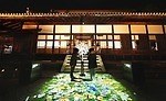 「ネイキッドガーデン ワンキョウト」京都・二条城や平安神宮でナイトアートイベント開催｜写真9