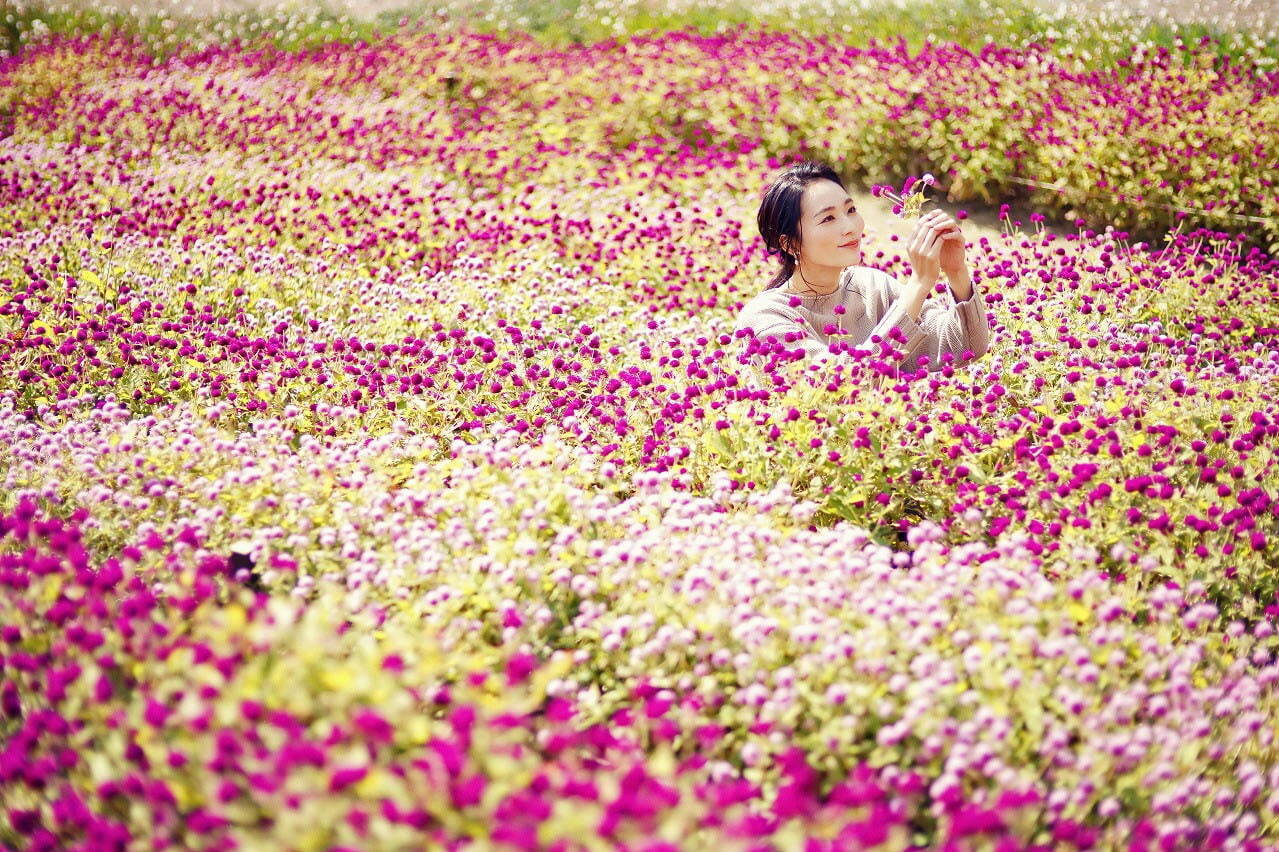 神戸布引ハーブ園／ロープウェイ「神戸布引ハーブ園／ロープウェイ」