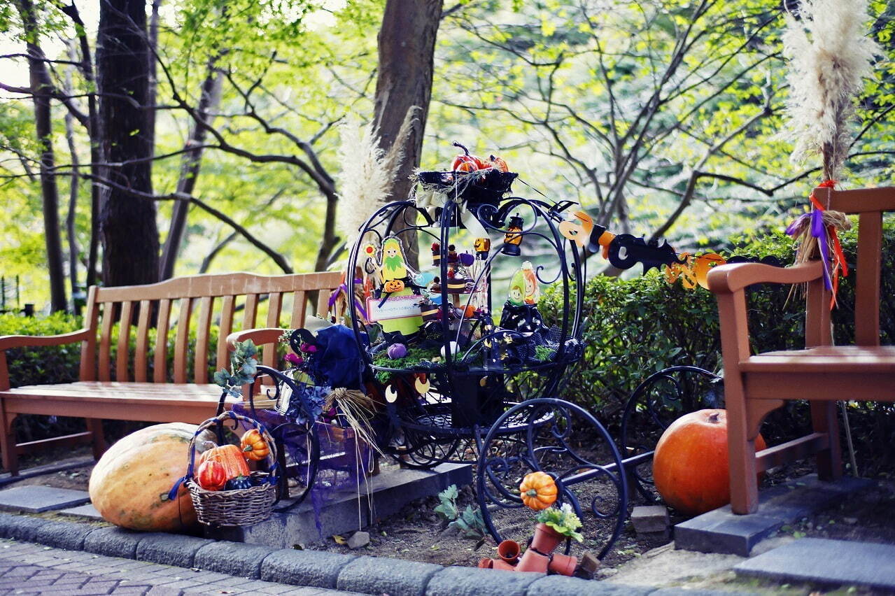 「神戸布引ハーブ園／ロープウェイ」の秋イベント - 園内を彩る様々な秋花＆ハーブ、紅葉鑑賞も｜写真17