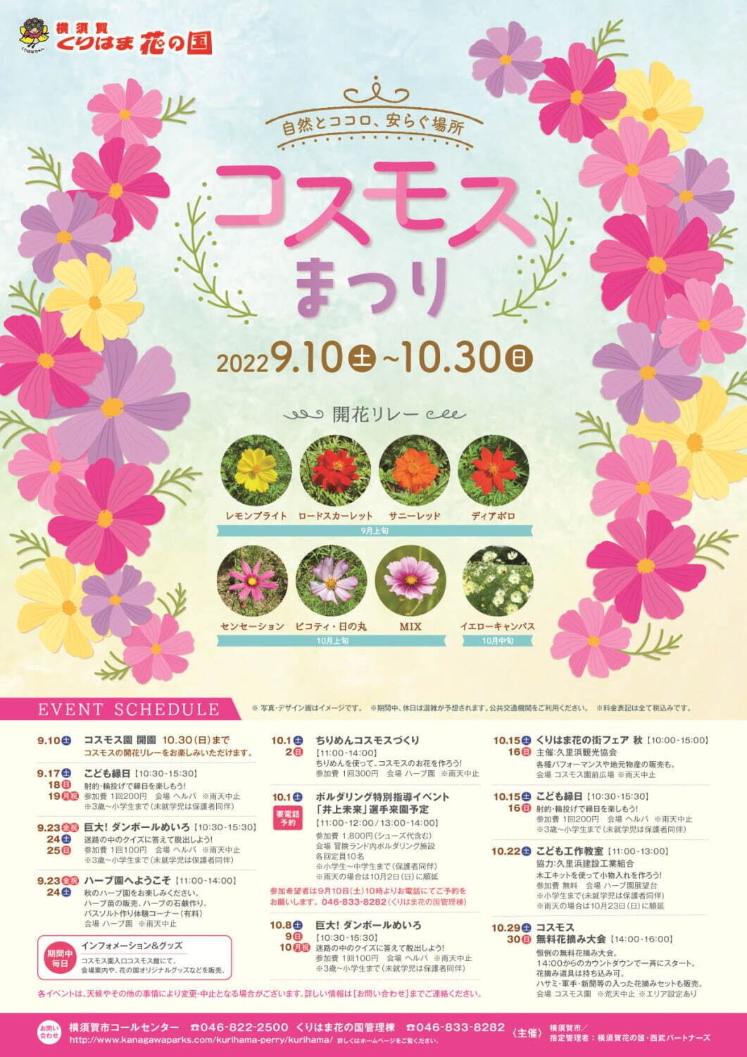 横須賀市くりはま花の国「コスモスまつり」約100万本のコスモスが開花、入場無料＆24時間開園｜写真17