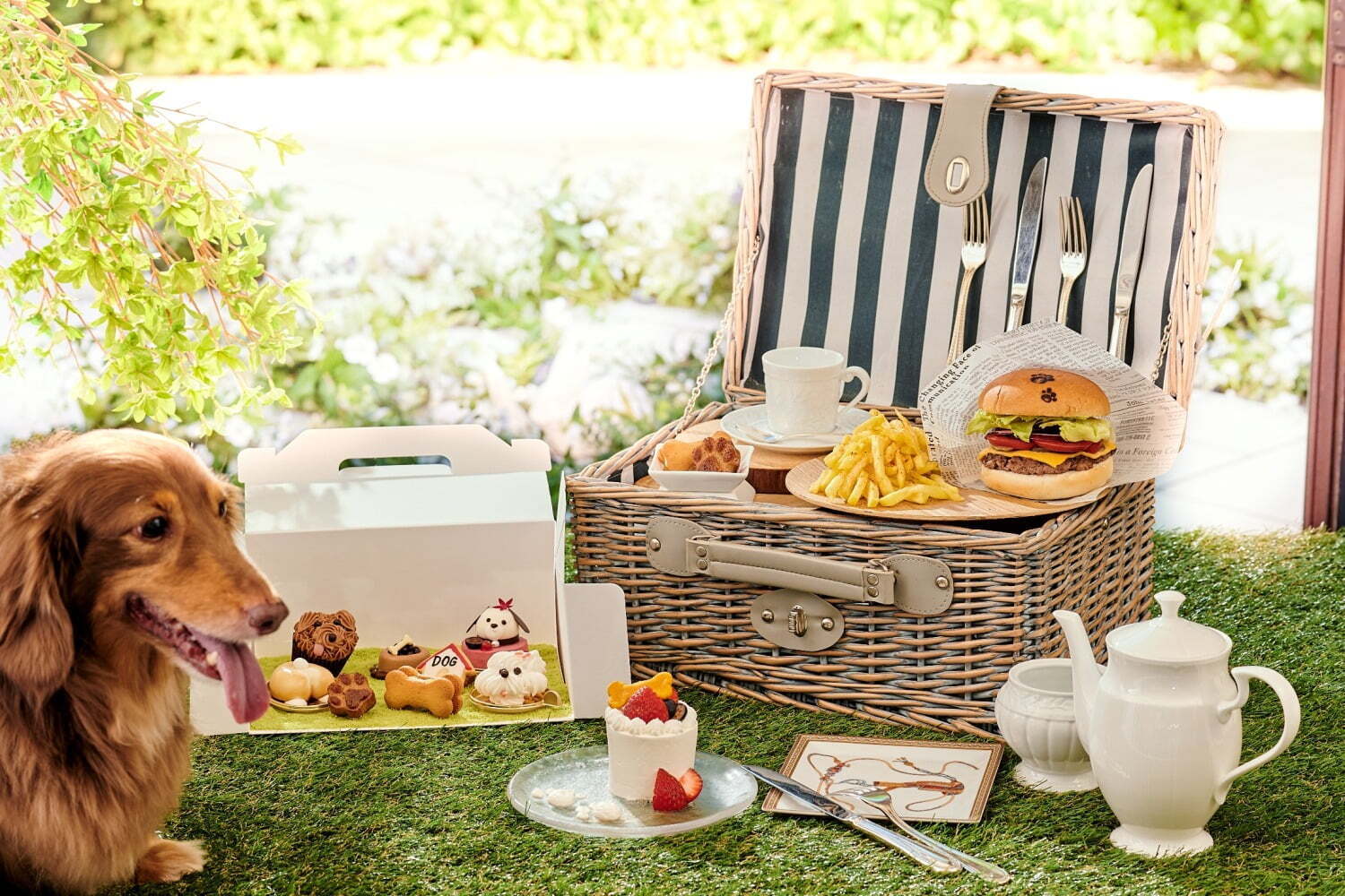 グランピング｜愛犬と一緒に楽しむアフタヌーンティーが新宿で、“マルチーズ”犬や“コーギーのおしり”型ケーキ