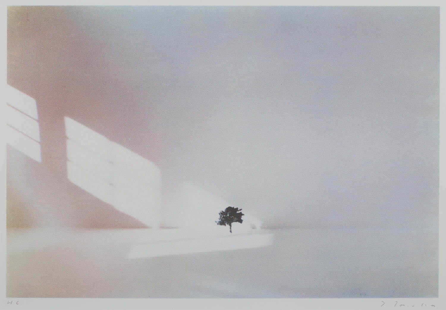 田中孝《Tree》1977年 シルクスクリーン、紙 滋賀県立美術館蔵