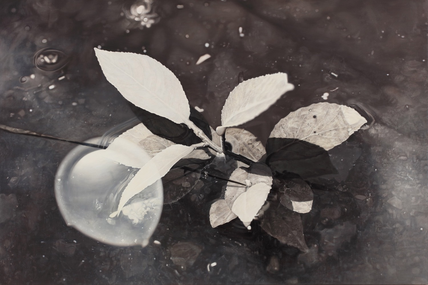 抽象絵画｜企画展「石と植物」滋賀県立美術館で - 素材・モチーフから環境まで、石と植物にまつわる美術を紹介