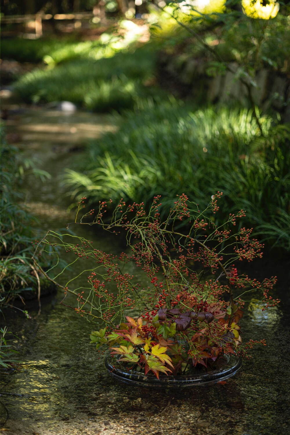 ヴァン クリーフ＆アーペル“秋の世界”のエキシビションが京都で、ジュエリーと片桐功敦による生け花を展示｜写真21
