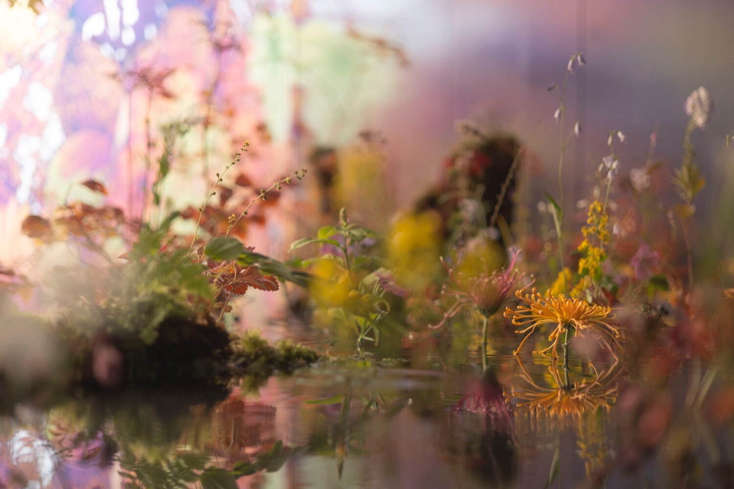 ヴァン クリーフ＆アーペル“秋の世界”のエキシビションが京都で、ジュエリーと片桐功敦による生け花を展示｜写真6