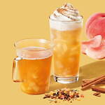 スターバックス(Starbucks Coffee) スターバックス ティー ＆ カフェ｜写真17