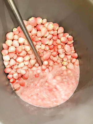 キル フェ ボン「白イチゴ“初恋の香り”」のフルーツブランデー、甘く 