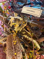 フミエ タナカ(FUMIE TANAKA) ローリンウッドストア｜写真5