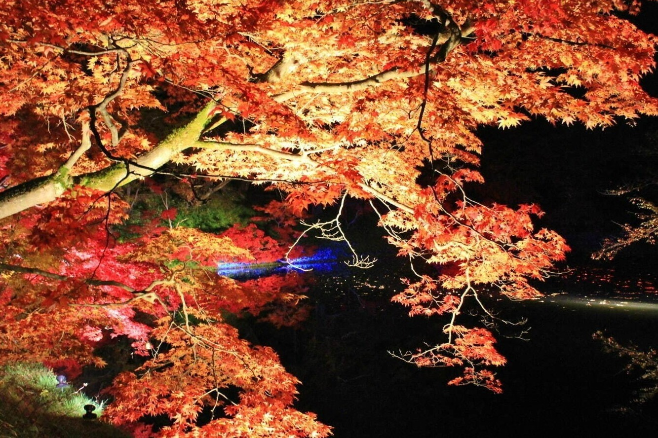 庭園｜【全国の紅葉イベント2022】名所～穴場までおすすめスポットを紹介、夜紅葉＆ライトアップも
