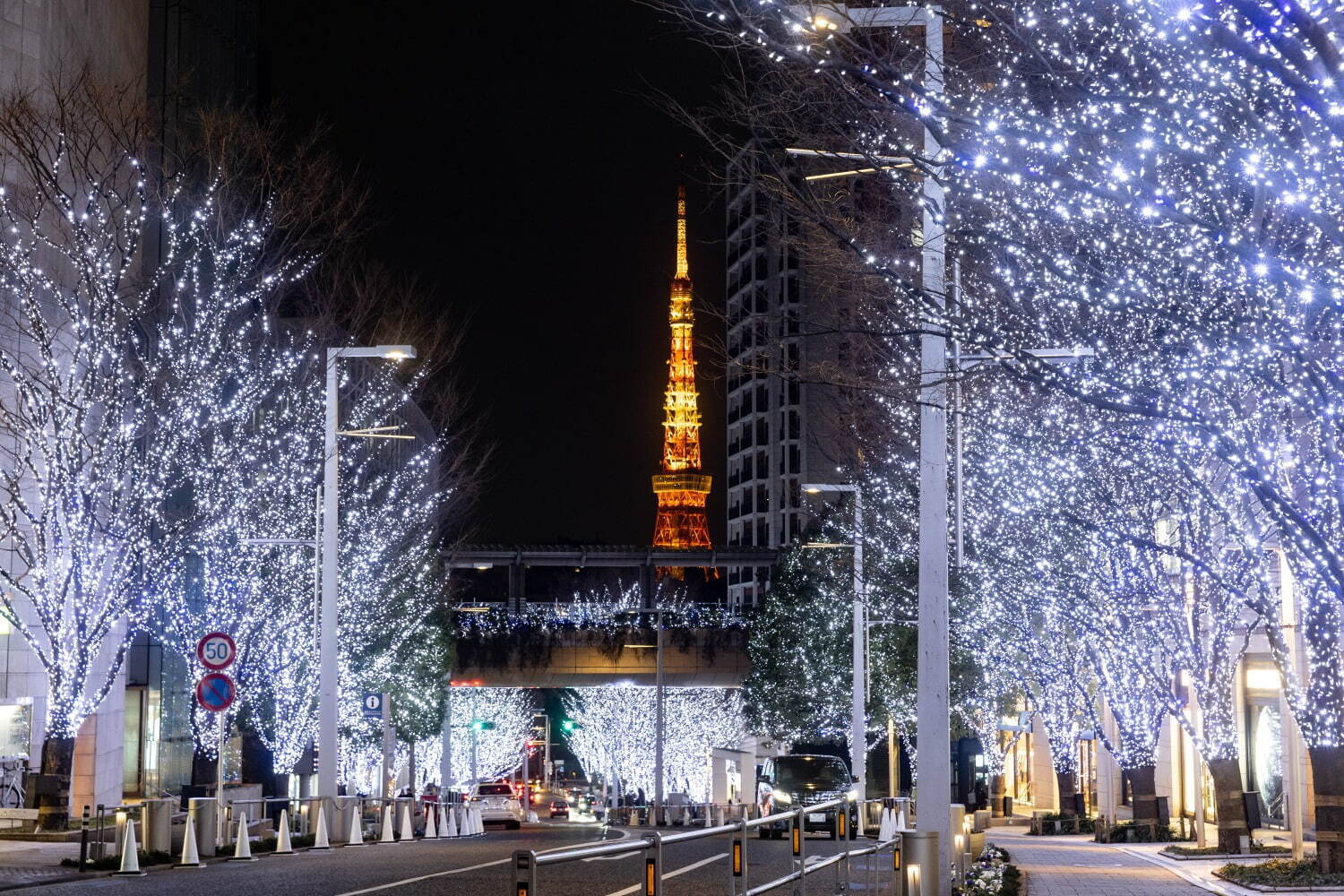 ＜東京・六本木ヒルズ＞「けやき坂イルミネーション」