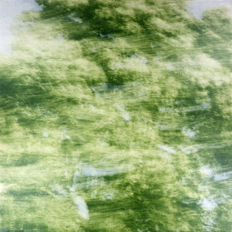 秋岡美帆《そよぎ》1988年