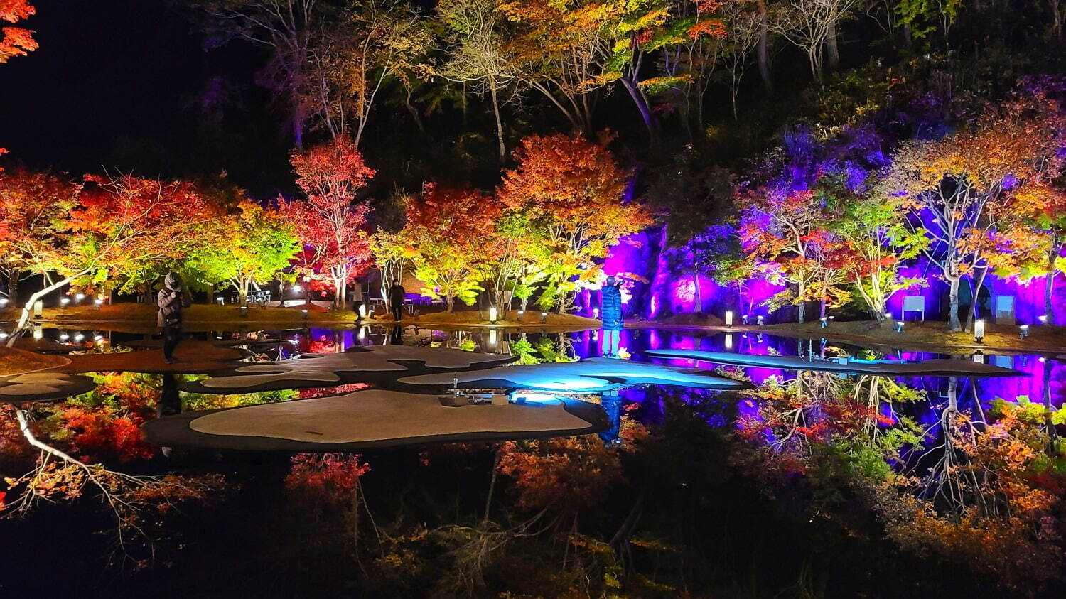 宮城県松島離宮の紅葉イベント2022、歴史ある日本庭園でモミジをライトアップ｜写真2