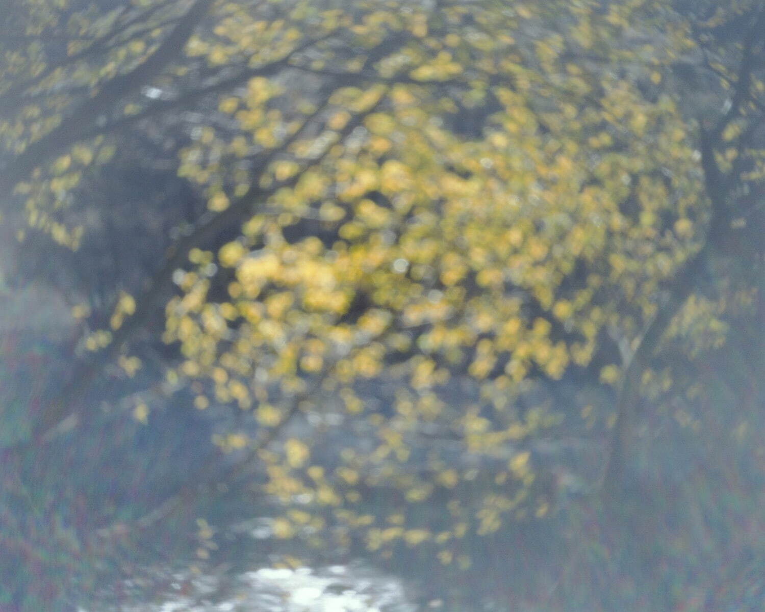 佐野陽一《flow》2015-17年 作家蔵