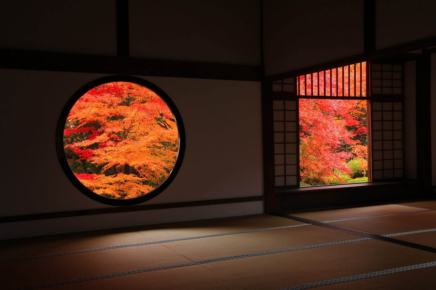 「関西の紅葉イベント2022」京都観光スポットのライトアップ～もみじ狩りにおすすめの名所など｜写真7
