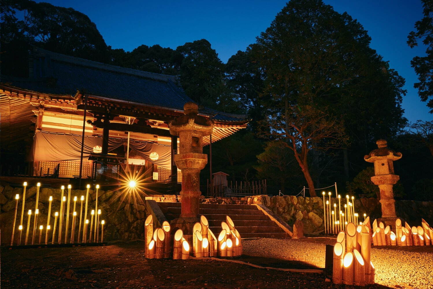 「関西の紅葉イベント2022」京都観光スポットのライトアップ～もみじ狩りにおすすめの名所など｜写真3