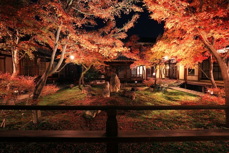 「関西の紅葉イベント2022」京都観光スポットのライトアップ～もみじ狩りにおすすめの名所など｜写真8