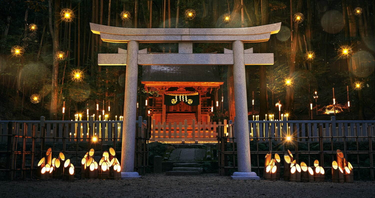 「関西の紅葉イベント2022」京都観光スポットのライトアップ～もみじ狩りにおすすめの名所など｜写真5