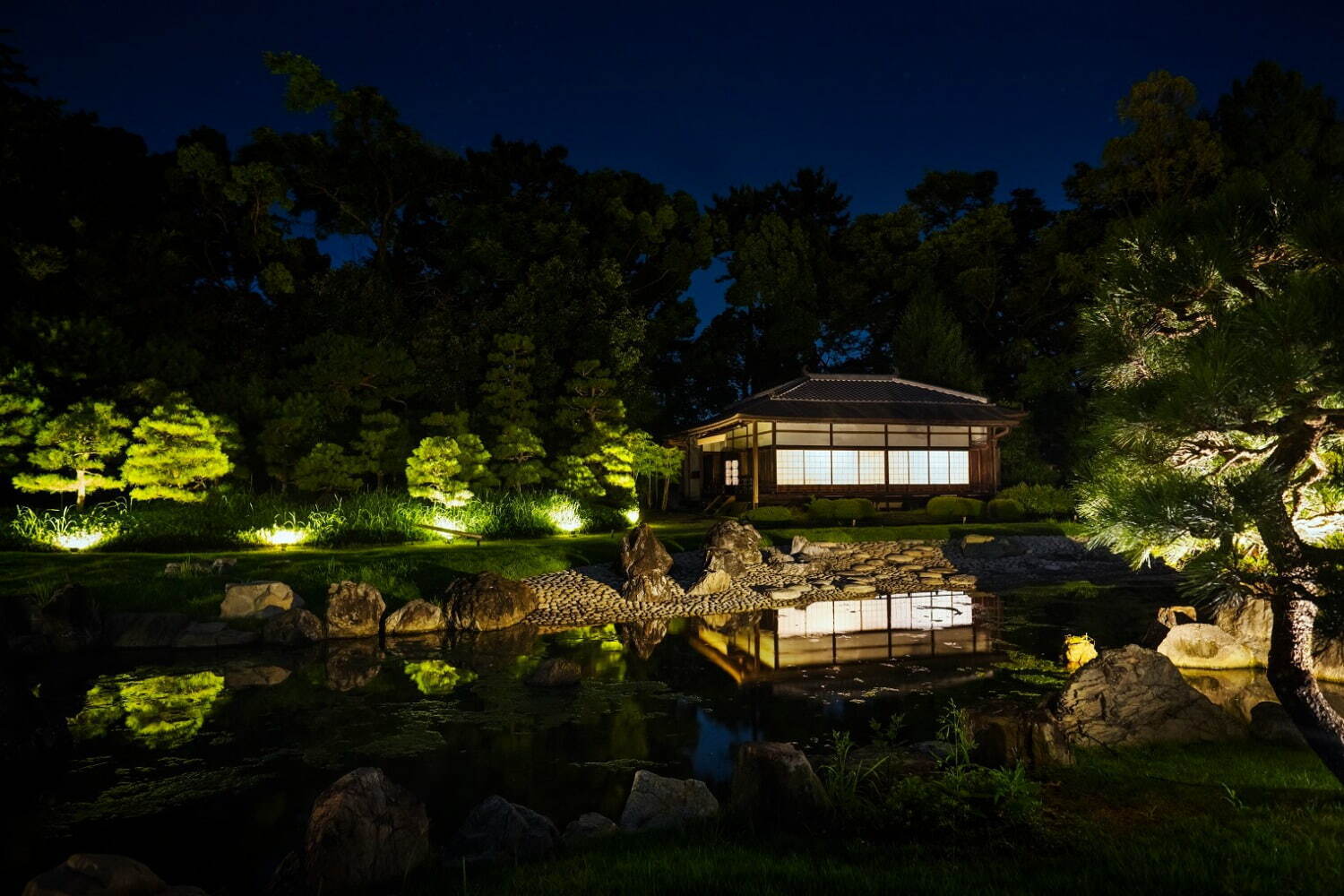 京都・二条城で「ネイキッド フラワーズ 2022」デジタルアートやライトアップで幻想的に彩る｜写真5