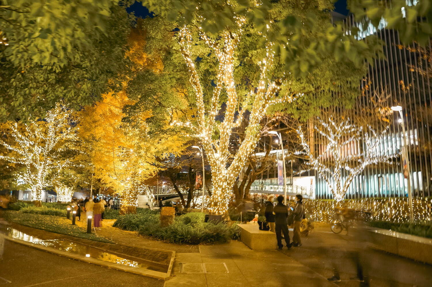 東京ミッドタウンで光と音楽が彩るクリスマスイルミネーション、都内最大級の屋外スケートリンクも｜写真3