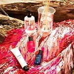 SHIRO“2種の限定の香り”のパフューム＆ディフューザー、ギフトに
