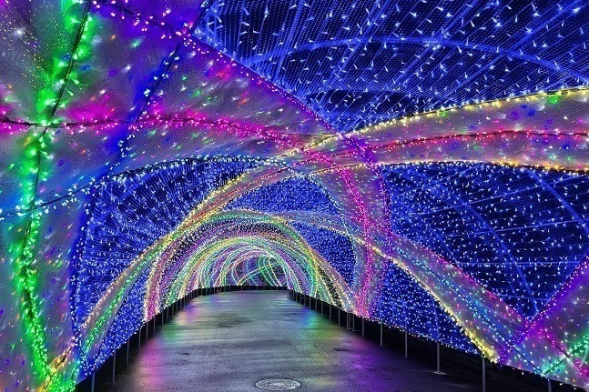 大阪 梅田スカイビルのイルミネーション もみの木を使ったクリスマスツリー 幻想的な光が灯る森 ファッションプレス
