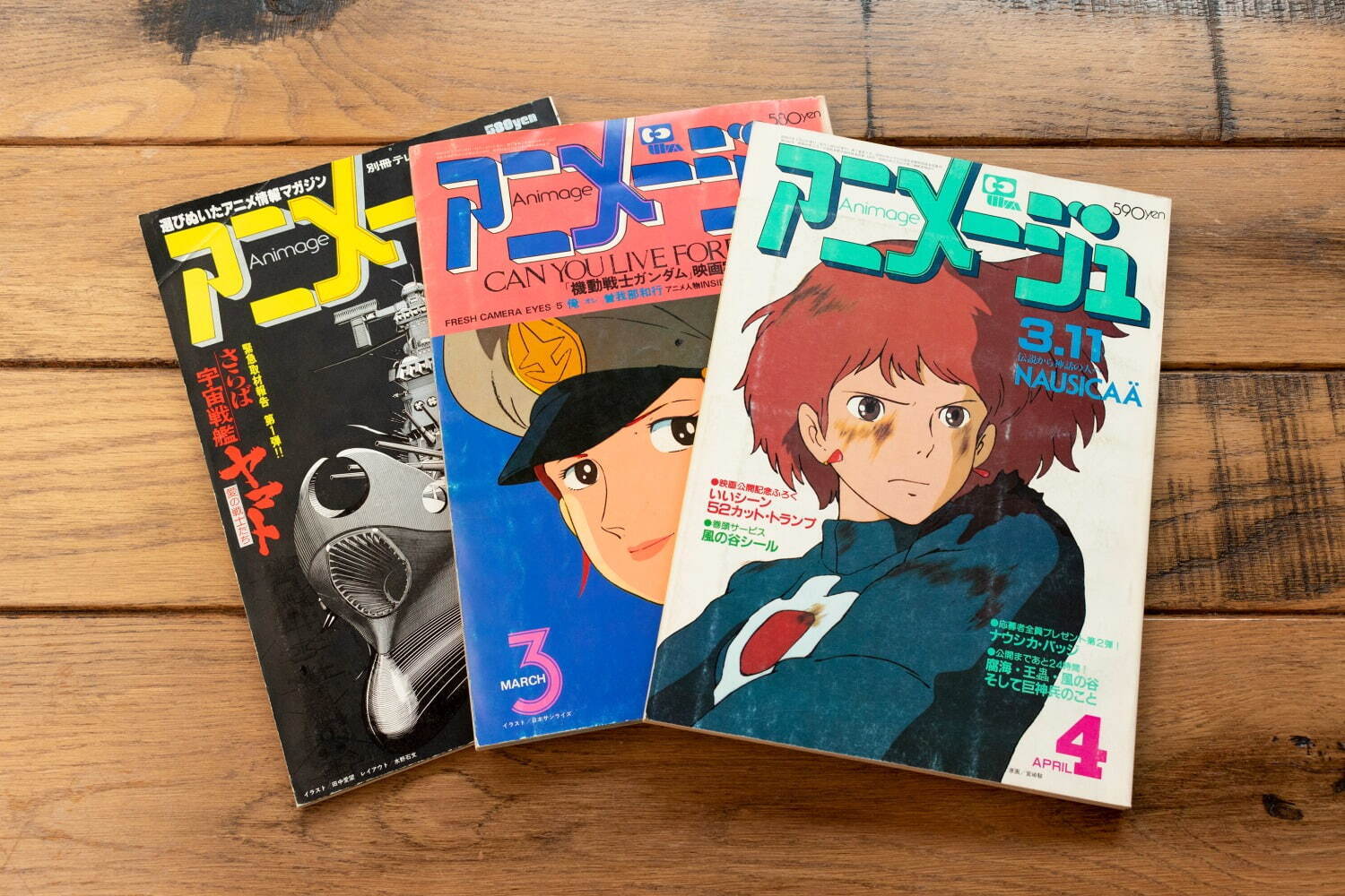 アニメージュとジブリ展限定 風の谷のナウシカ ナウシカの耳飾り ...