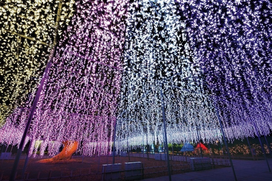 あしかがフラワーパークの22年イルミネーションイベント、大藤＆スイレンなど”光の花”が一面に