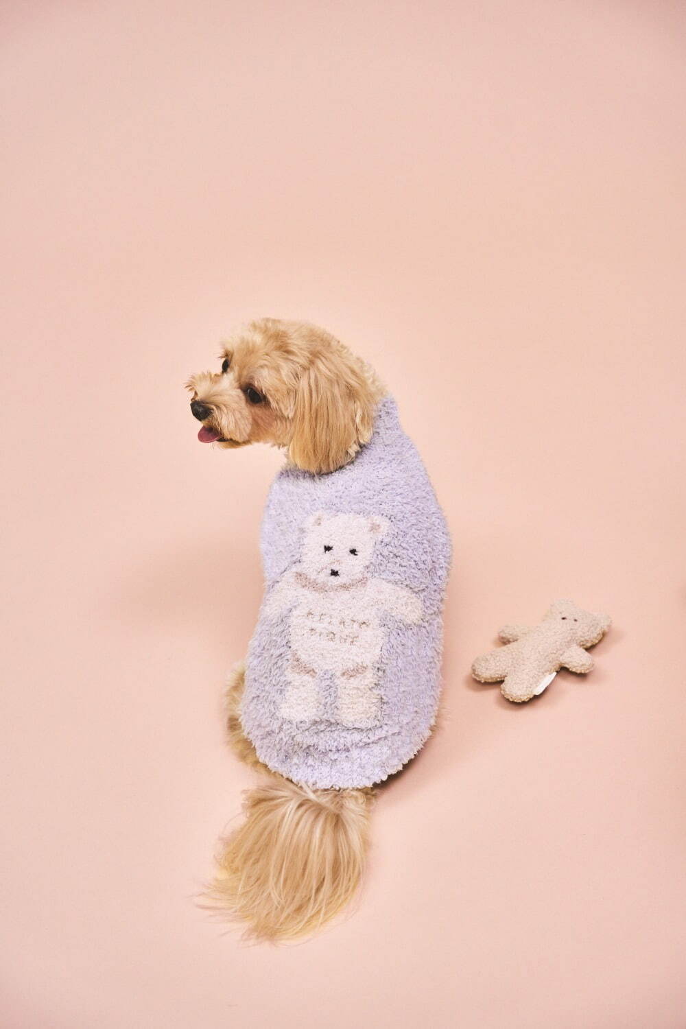 ジェラート ピケ22年冬の新作ペットグッズ、ホットケーキ＆ハニーベア柄の犬猫ウェアなど｜写真9