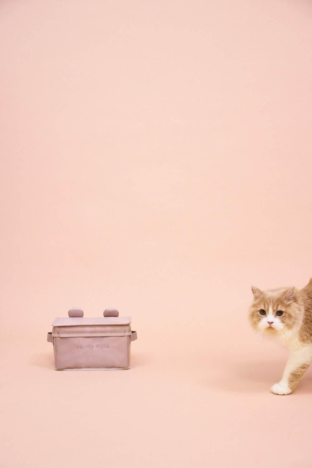 ジェラート ピケ22年冬の新作ペットグッズ、ホットケーキ＆ハニーベア柄の犬猫ウェアなど｜写真14