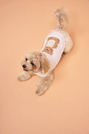 ジェラート ピケ22年冬の新作ペットグッズ、ホットケーキ&ハニーベア柄の犬猫ウェアなど|写真2