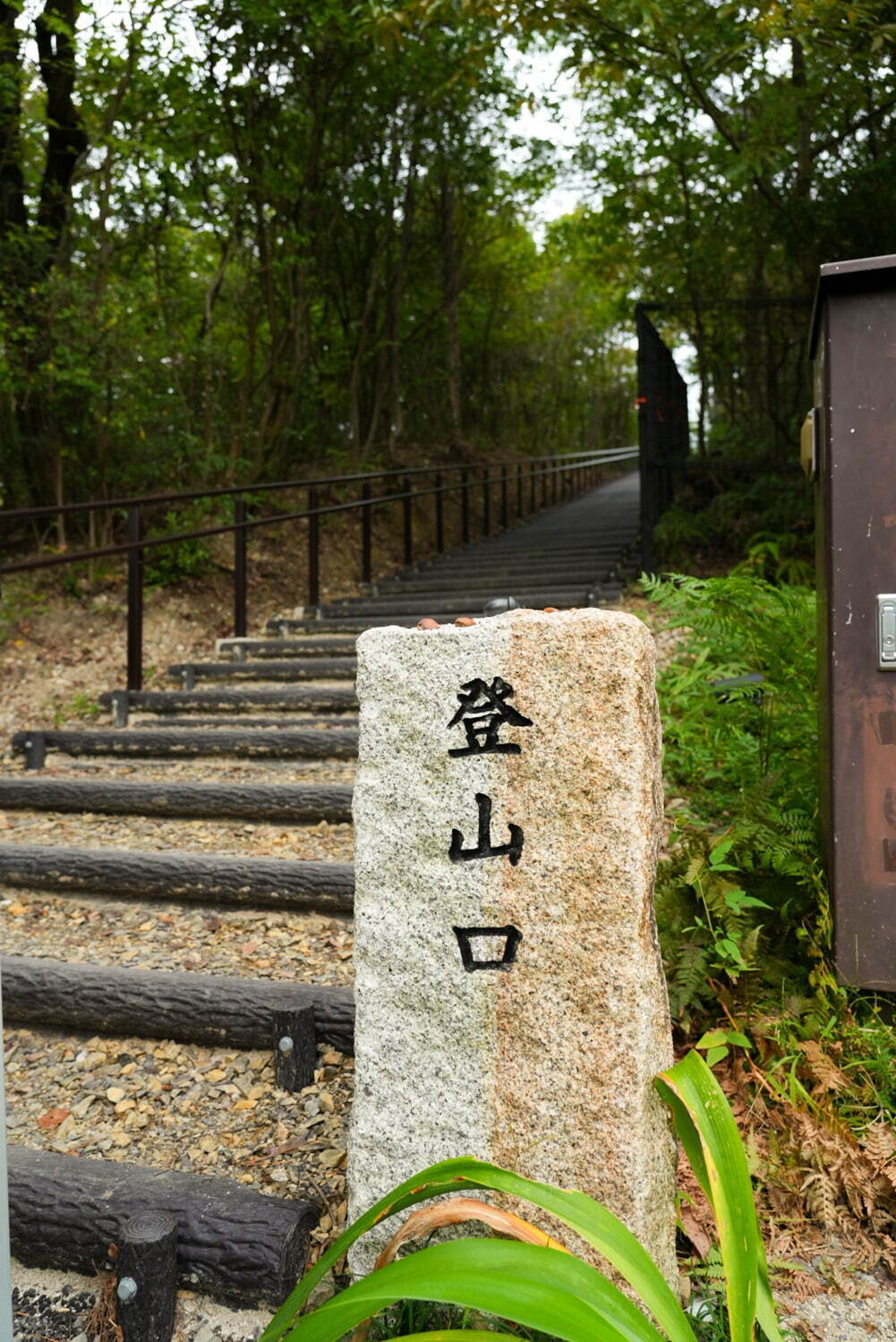 ジブリパーク「どんどこ森」には何がある？「サツキとメイの家」の再現展示＆トトロの遊具、限定のお土産も｜写真35