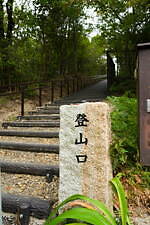 ジブリパーク「どんどこ森」には何がある？「サツキとメイの家」の再現展示＆トトロの遊具、限定のお土産も｜写真35