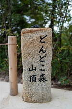 ジブリパーク「どんどこ森」には何がある？「サツキとメイの家」の再現展示＆トトロの遊具、限定のお土産も｜写真12