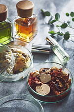 キンプトン新宿東京のクリスマスアフタヌーンティー“ハーブ×チーズ”がテーマのスイーツ9種｜写真2