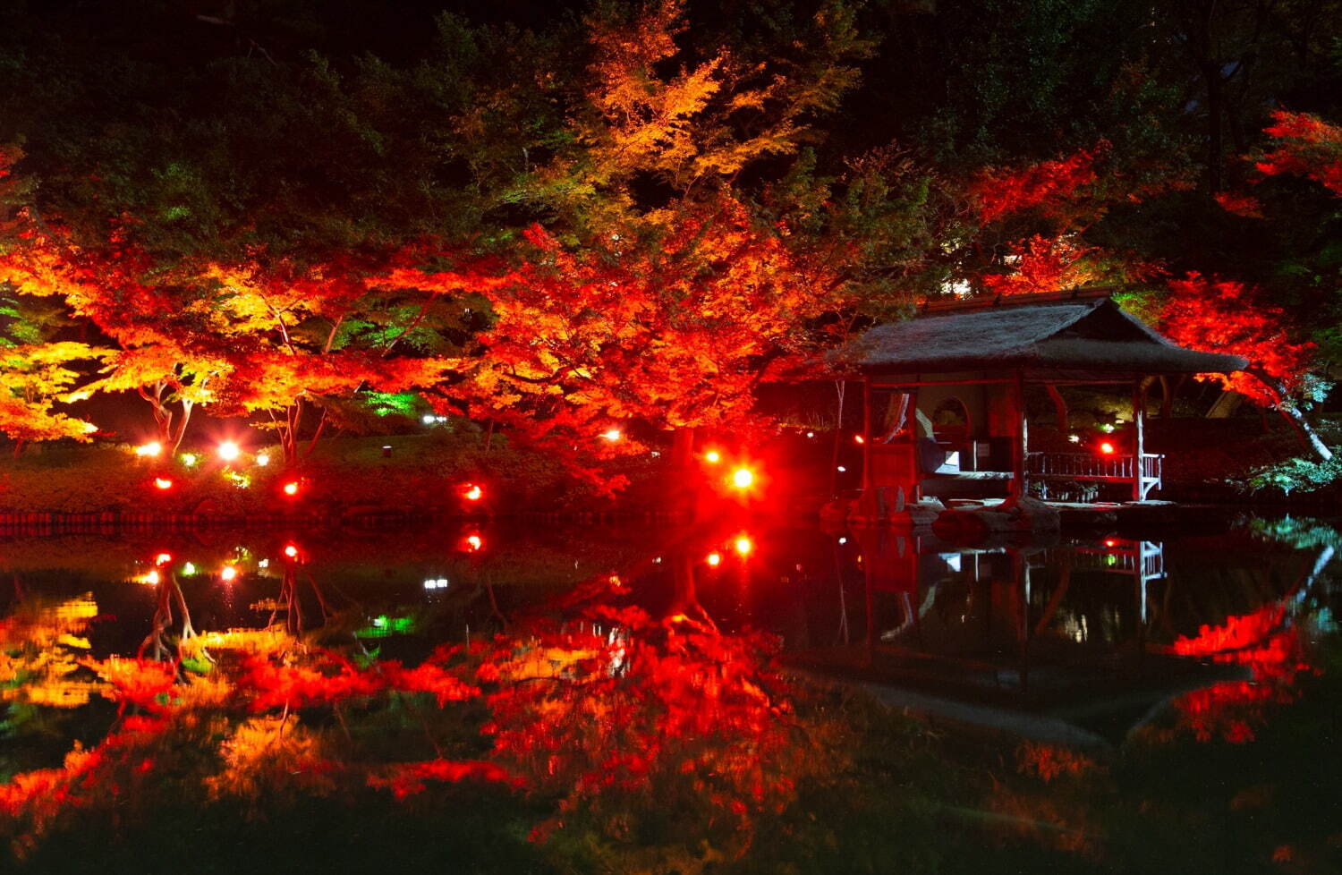 東京・白金台「八芳園」約100本のもみじが”真っ赤に染まる”紅葉ライトアップ、庭園バーも｜写真2