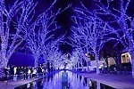 【全国の冬イベント＆祭り2022】クリスマスのお出かけにもぴったり！関東＆関西のおすすめスポット｜写真50