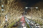【全国の冬イベント＆祭り2022】クリスマスのお出かけにもぴったり！関東＆関西のおすすめスポット｜写真33