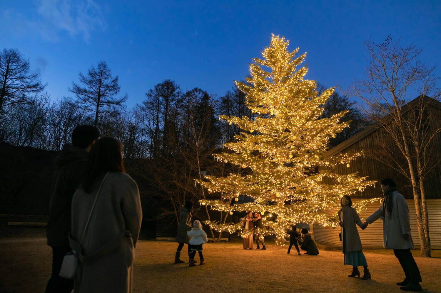 軽井沢星野エリア2022年クリスマス、「やどりぎ」のイルミネーション＆高さ10mのクリスマスツリー｜写真7