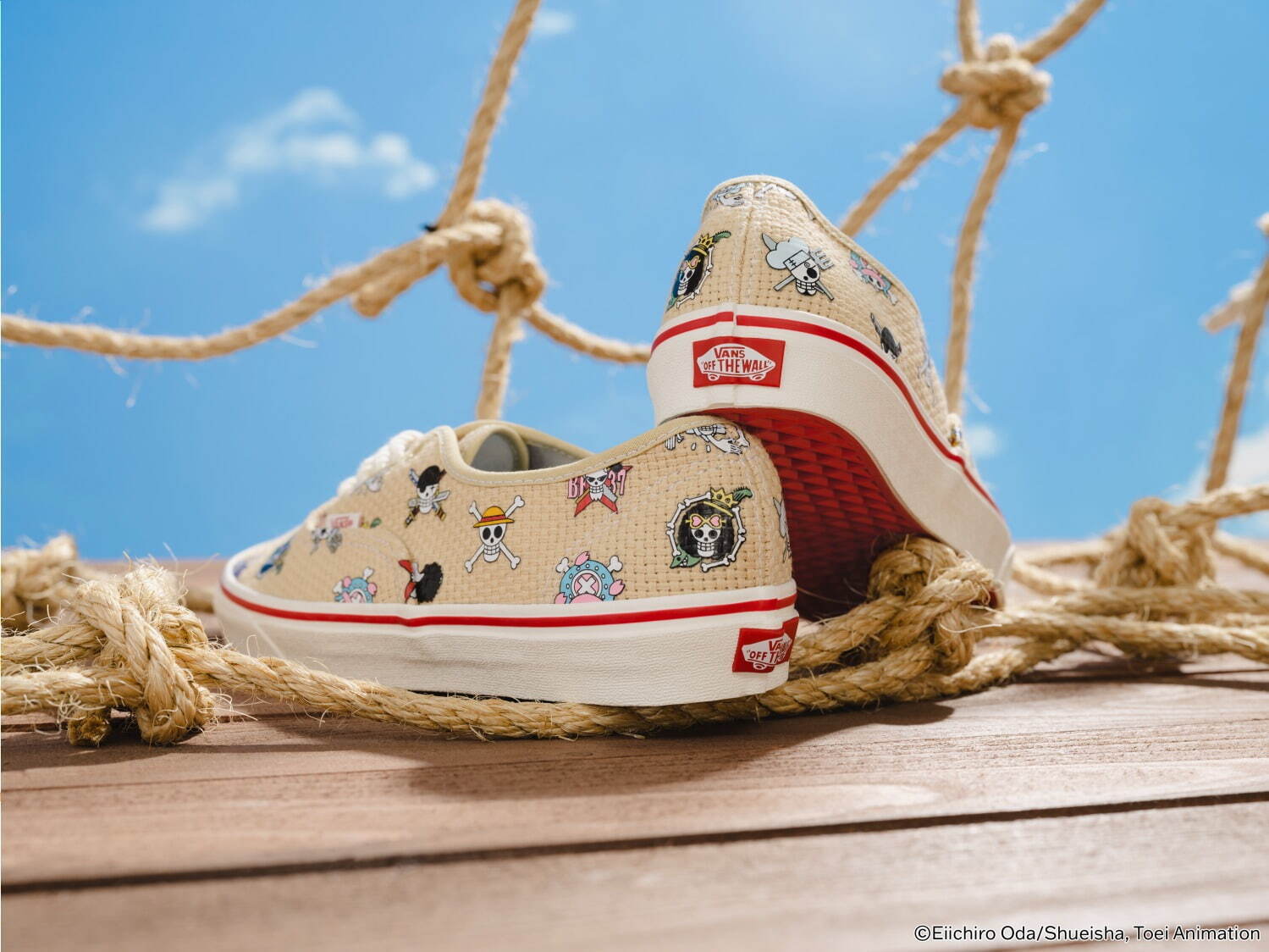 ヴァンズ(VANS) VANS×ワンピース｜写真4