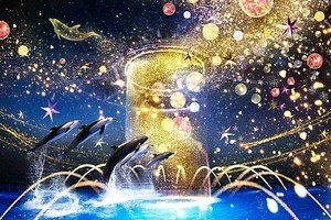 東京都内デートスポット まったりorアクティブ 雨でもokな水族館や遊園地 夜景を望む展望台も ファッションプレス