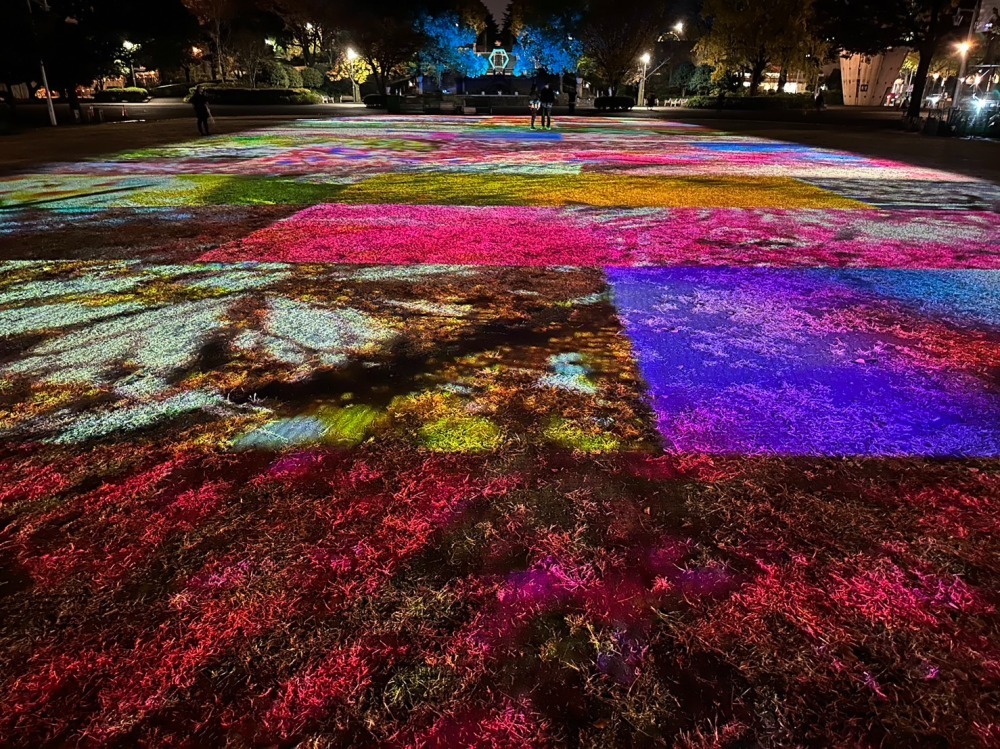 「胡蝶のめぐる季節〜ヨルノヨ」
©mika ninagawa, Courtesy of Tomio Koyama Gallery