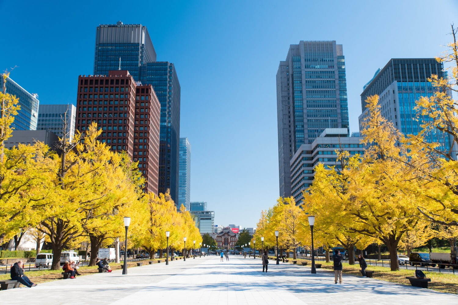 東京千代田区「おすすめ紅葉スポット」イチョウ＆モミジが染まる日比谷公園など紅葉の名所6選｜写真4