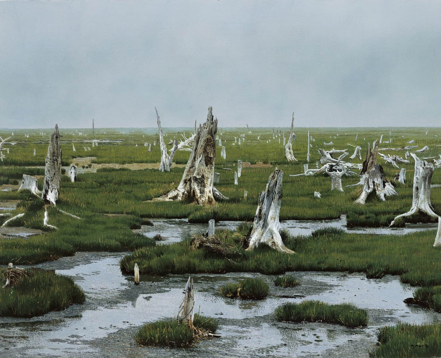 野田弘志《トドワラ(北海道野付半島・8月)》1990年 油彩・カンヴァス 法人蔵