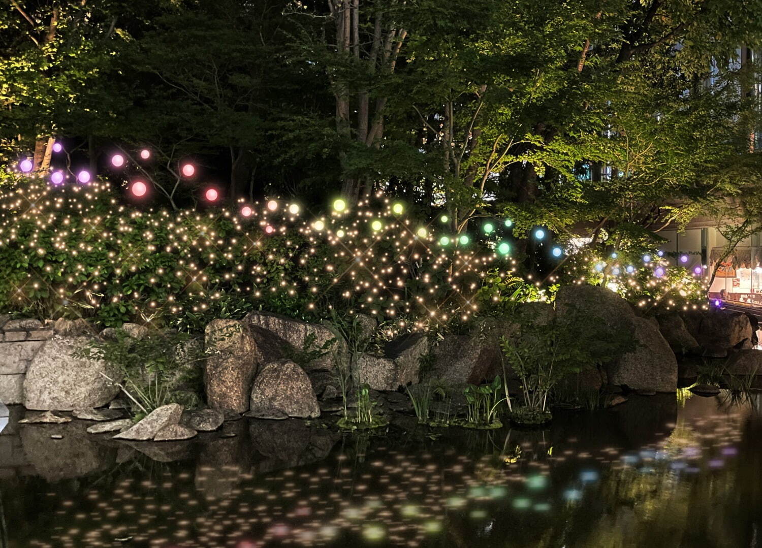 大阪・梅田スカイビルのイルミネーション、もみの木を使ったクリスマスツリー＆幻想的な光が灯る森｜写真3