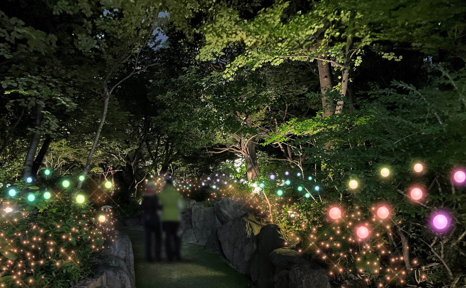大阪・梅田スカイビルのイルミネーション、もみの木を使ったクリスマスツリー＆幻想的な光が灯る森｜写真2