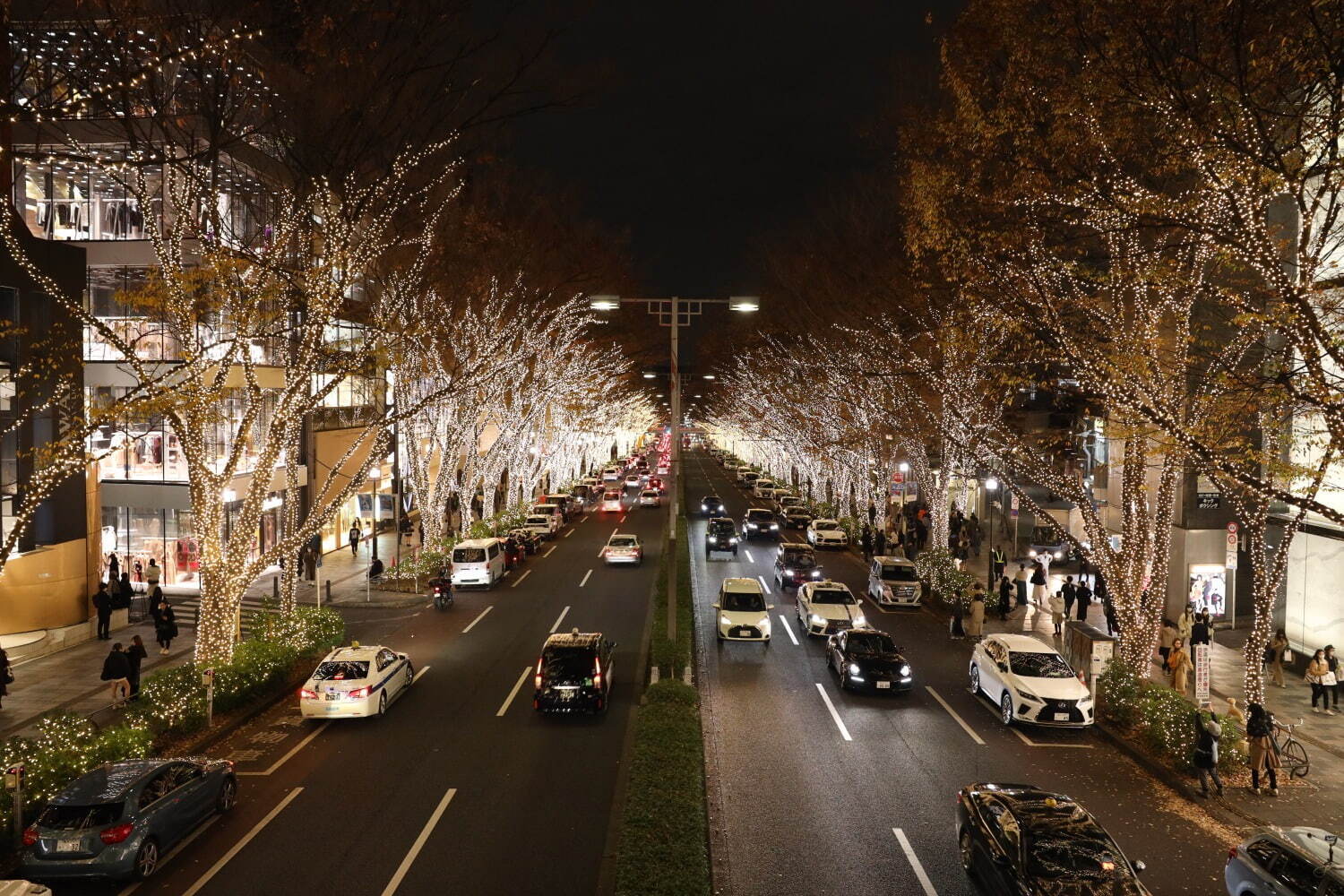 フェンディ(FENDI) 表参道 フェンディ イルミネーション 2022｜写真8