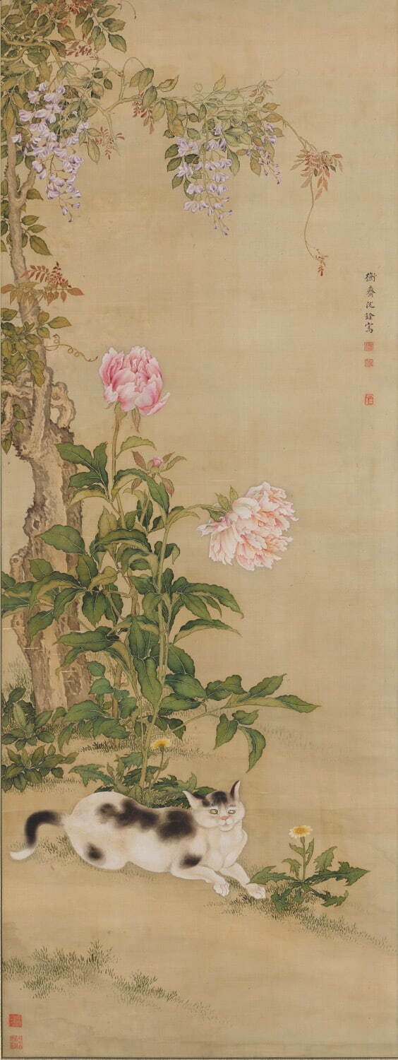 《花鳥動物図より藤花独猫図》沈南蘋筆 清時代・18世紀 三井記念美術館