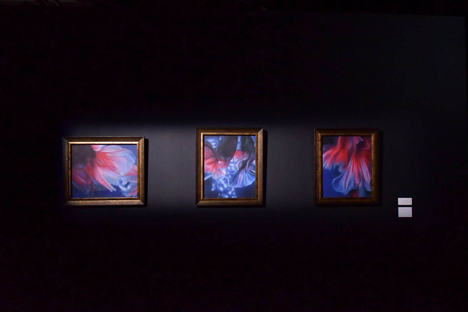 とらや(TORAYA) アートアクアリウム美術館 GINZA｜写真6