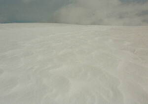 エミ(emmi) 2022-23年秋冬ウィメンズコレクション  - 写真4